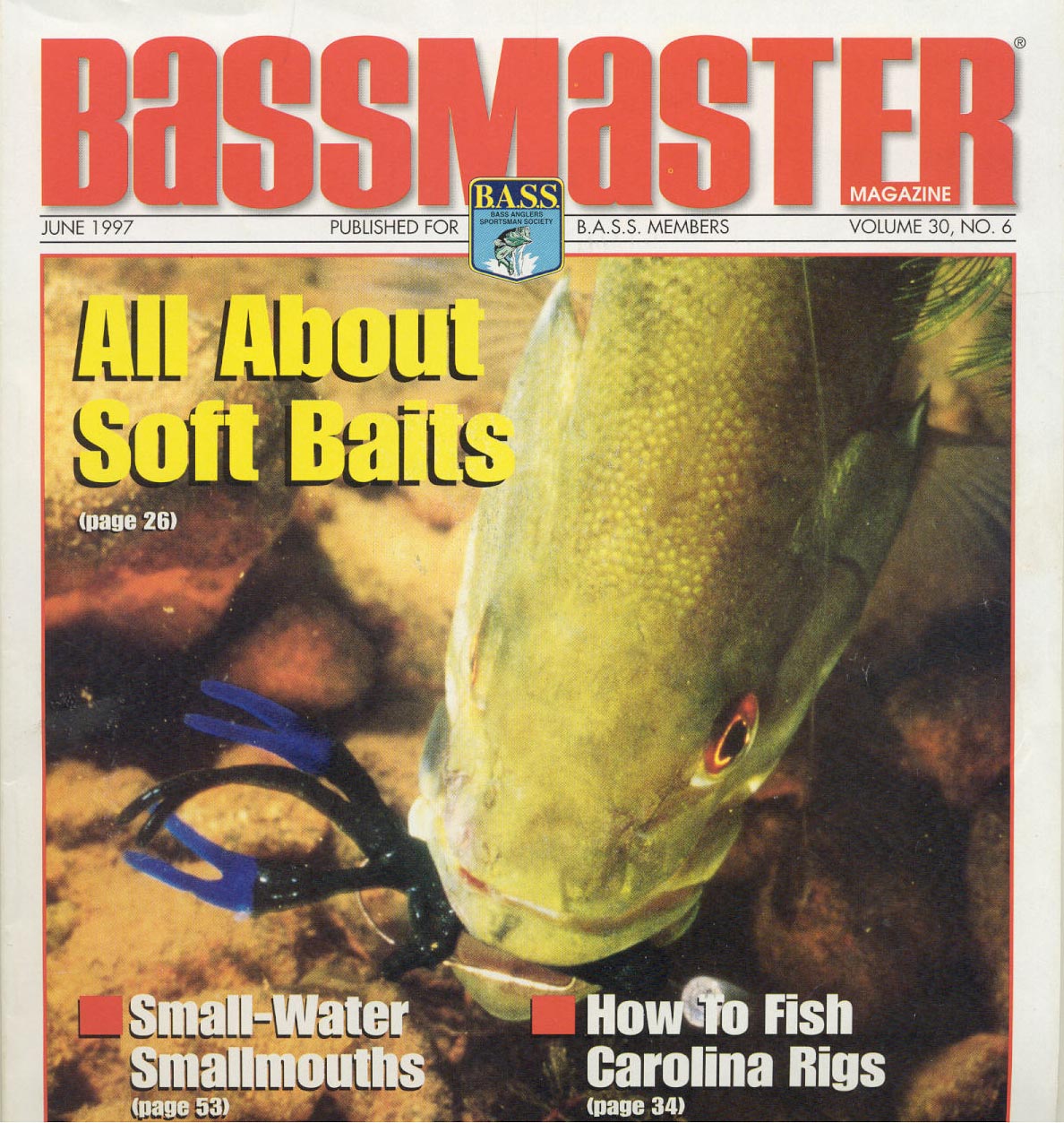 Bassmaster