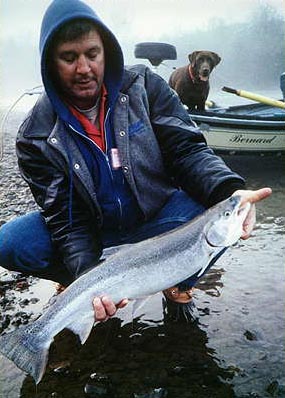 Russian River Steelhead