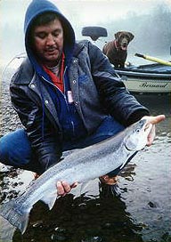 russian river steelhead