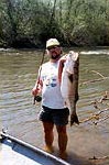 Stanislaus River Striper
