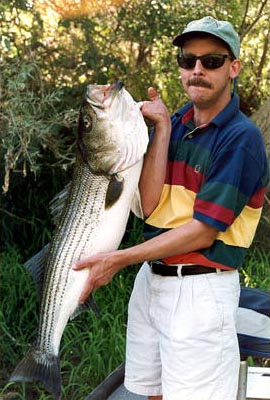 Stanislaus River Striper